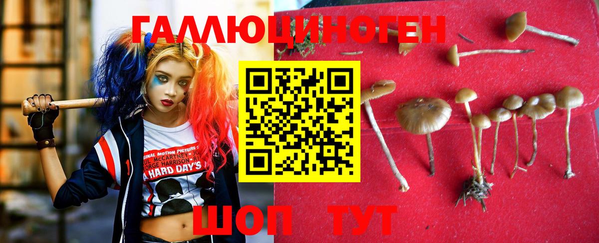 Галлюциногенные грибы прущие грибы  Вход с VPN  Лыткарино 